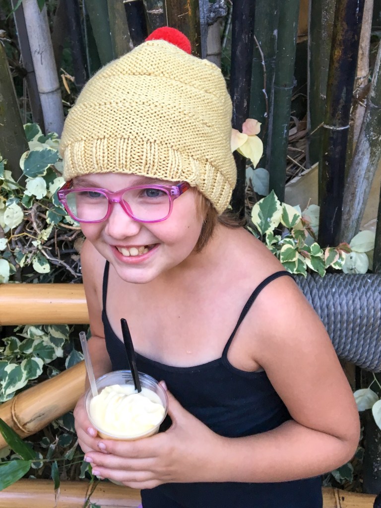 pineapple whip hat at disneyland