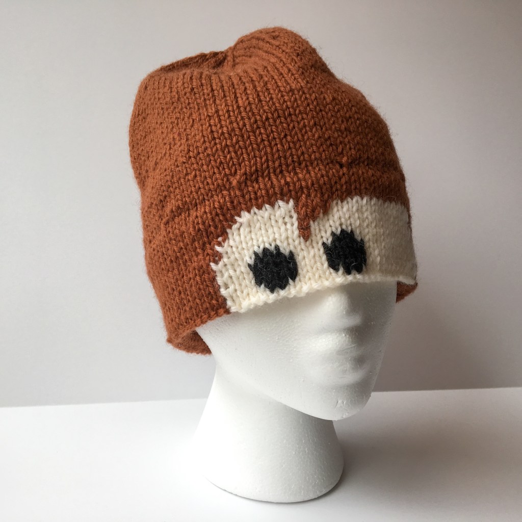 car eyes hat on stand